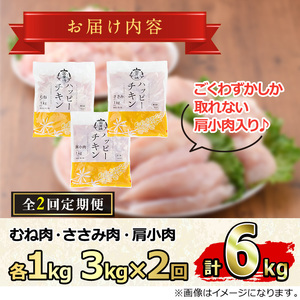 【0134806b】＜定期便・全2回＞少量パック！国産若鶏肉ヘルシーセット(計6kg・3kg×2回) 鶏肉 鳥肉 とり肉 むね肉 おかず 小分け 国産【エビス】