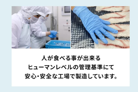 UMINO PET サメ肉ジャーキー 40g×3個 [石渡商店 宮城県 気仙沼市 20563953]