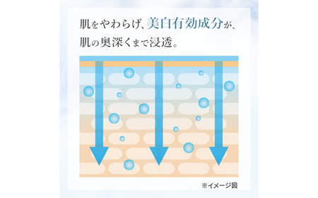 フジナ エクセレントホワイト 導入化粧水[医薬部外品]
