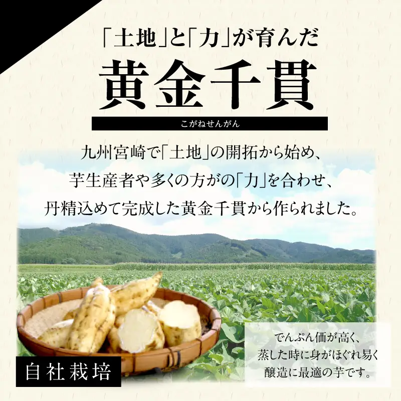 地力（じりき） お酒 酒 焼酎 芋 芋焼酎