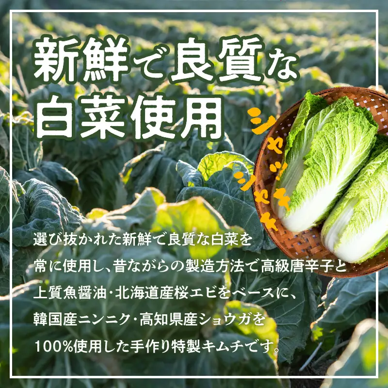 定期便 白菜キムチ 1kg × 3回 大好評 韓国