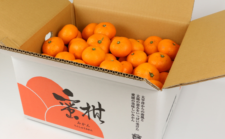 温州みかん南柑20号9kg家庭用植村農園温州みかん温州みかん温州みかん温州みかんB010-153004