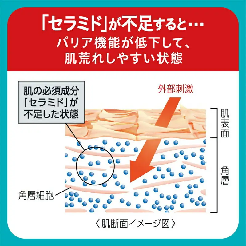 花王 Curel キュレル　潤浸保湿　乳液 2個セット ｜ 化粧品 化粧水 コスメ