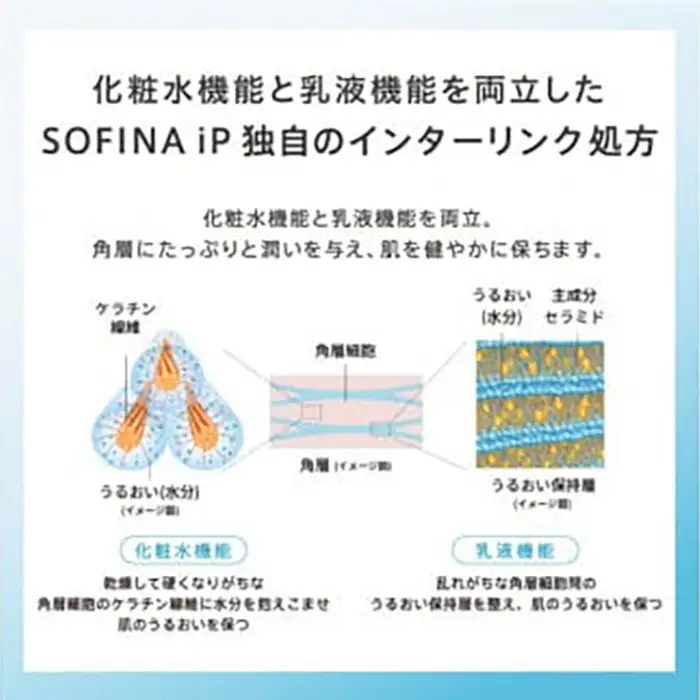花王 SOFINA iP インターリンク セラム うるおって弾むようなハリ肌へ　2個セット【ソフィーナ　アイピー  美容 化粧品 コスメ　人気　スキンケア 化粧水　乳液　美容液 うるおい　潤い　ハリ肌 密着　乾燥肌 保湿 クリーム 乾燥 神奈川県 小田原市 】