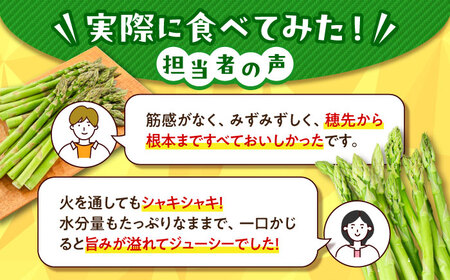 グリーンアスパラガス 1.5kg アスパラ AJAM001