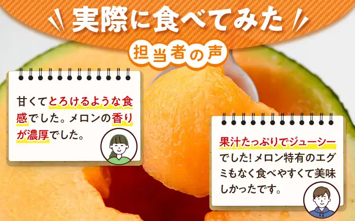 【先行予約】 キングルビー 大玉 2玉 メロン AJAM004