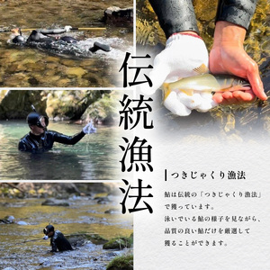 天然波乗り鮎 約1.2kg サイズおまかせ 8～24尾 鮎 天然 約1.2kg あゆ アユ 天然鮎 清流 海部川 川魚 冷凍