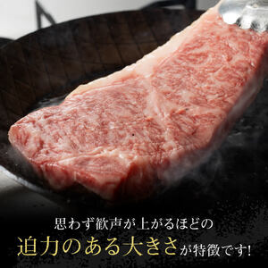 宮崎牛ワンポンドステーキ454ｇ 【 肉 国産牛肉 牛 A4～A5等級 宮崎牛 牛 BBQ アウトドア 記念日 日本ハム 牛 牛肉 牛 焼肉 】