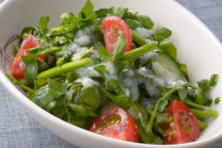 塩糀ノンオイルドレッシング 200ml×8本｜サラダ [1012]