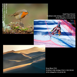 ※おひとり様1点限り※ 富士フイルム レンズ XF150-600mmF5.6-8 R LM OIS WR カメラ 望遠 超望遠 ズーム APS-C 防滴 防塵 ミラーレス Xマウント FUJIFILM フジノンレンズ【富士フイルムイメージングシステムズ株式会社】ta343