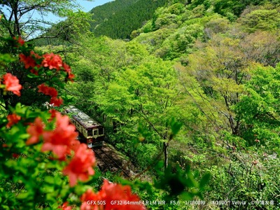 ※おひとり様1点限り※ 富士フイルム レンズ GF32-64mmF4 R LM WR カメラ 広角 標準 ズーム 中判 防滴 防塵 ミラーレス  Gマウント FUJIFILM フジノンレンズ【富士フイルムイメージングシステムズ株式会社】ta345