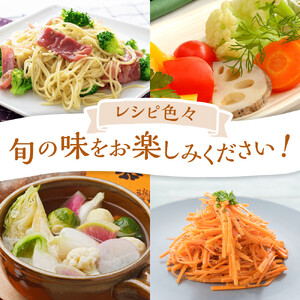 【2026年発送分先行予約】みうら農園 季節の野菜セット おまかせ7品（晩秋野菜）【2026年10月下旬頃～順次】