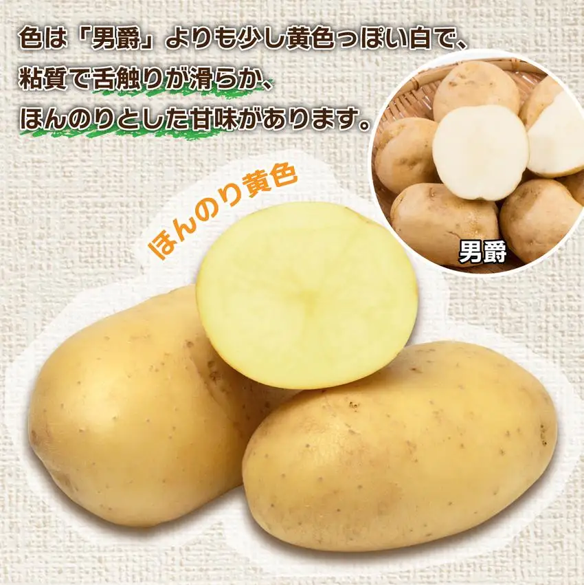 ＜先行予約＞北海道産 じゃがいも(メークイン) 約5kg【55250841】