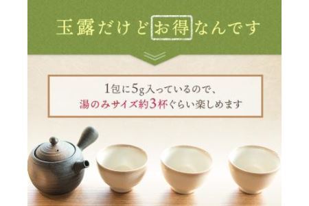 八女星野茶 玉露 ティーバッグ 1袋 (5g×50個) お茶 緑茶 茶葉 日本茶