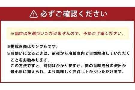 博多和牛 サーロインステーキセット 合計1kg (250g×4枚) 黒毛和牛 牛肉 和牛 サーロイン