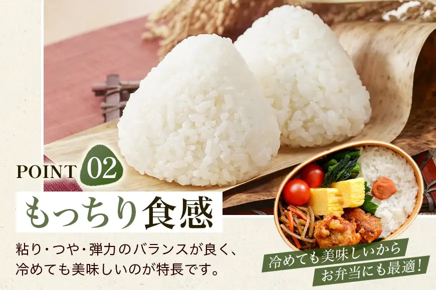 【ふるさと納税】ひのひかり 米 お米 玄米 10kg 10キロ 福岡県産 うきは市 国産 精米 ご飯 ごはん おにぎり お弁当 人気 おすすめ 家庭用 送料無料 新米 ストック 厳選 農家直送 大容量【JA福岡くるめ にじの耳納の里】