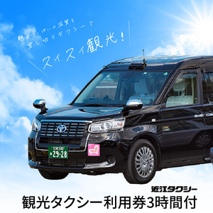 スタンダードツイン（1泊朝食付）＋タクシー券　大人2名　ベッセルイン ホテル 宿泊券 大人 2名様 1泊 朝食付き  スタンダード ツイン タクシー 3時間 利用券 近江タクシー  DD-0004