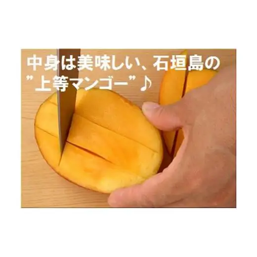 ＜予約受付＞完熟アップルマンゴー 3~6個 約2kg 