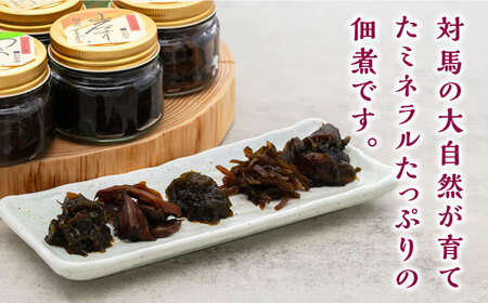 【全6回定期便】佃煮詰合せ対馬 ご飯のお供 岩のり わかめ ひじき 椎茸  [WAI031]
