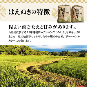 【 令和7年産 】 米沢米 棚田米 はえぬき 10kg ( 5kg×2袋 ) 〔2025年10月中下旬頃～順次お届け〕特別栽培米 2025年産 産地直送 農家直送