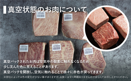 訳あり 飛騨牛 ブロック [塊] 赤身肉 500g JAひだ 訳あり [S469]