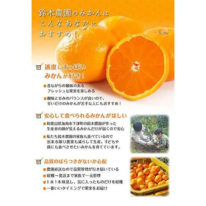 早生みかん 3kg 小粒サイズ 鈴木農園みかん