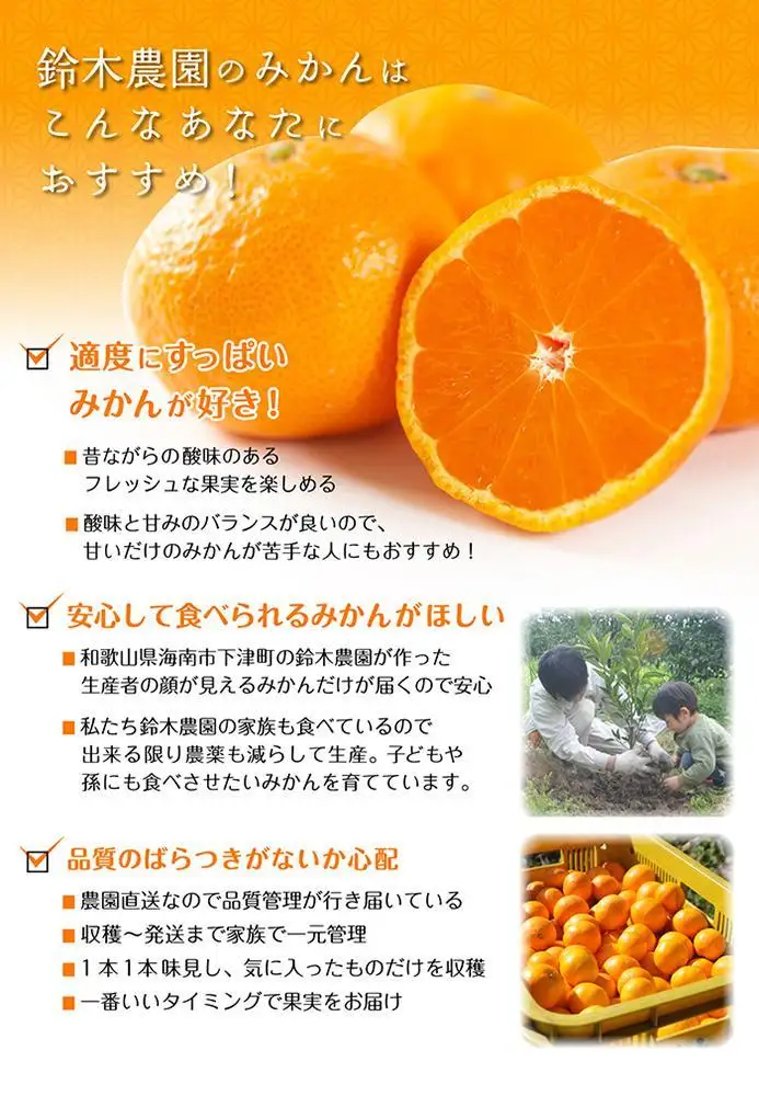 みかん 3キロ SMLサイズ 和歌山県海南市鈴木農園から酸味もおいしい みかん をお届け プチ 贈答 食べきり 少量 厳選 プレミアム お試し