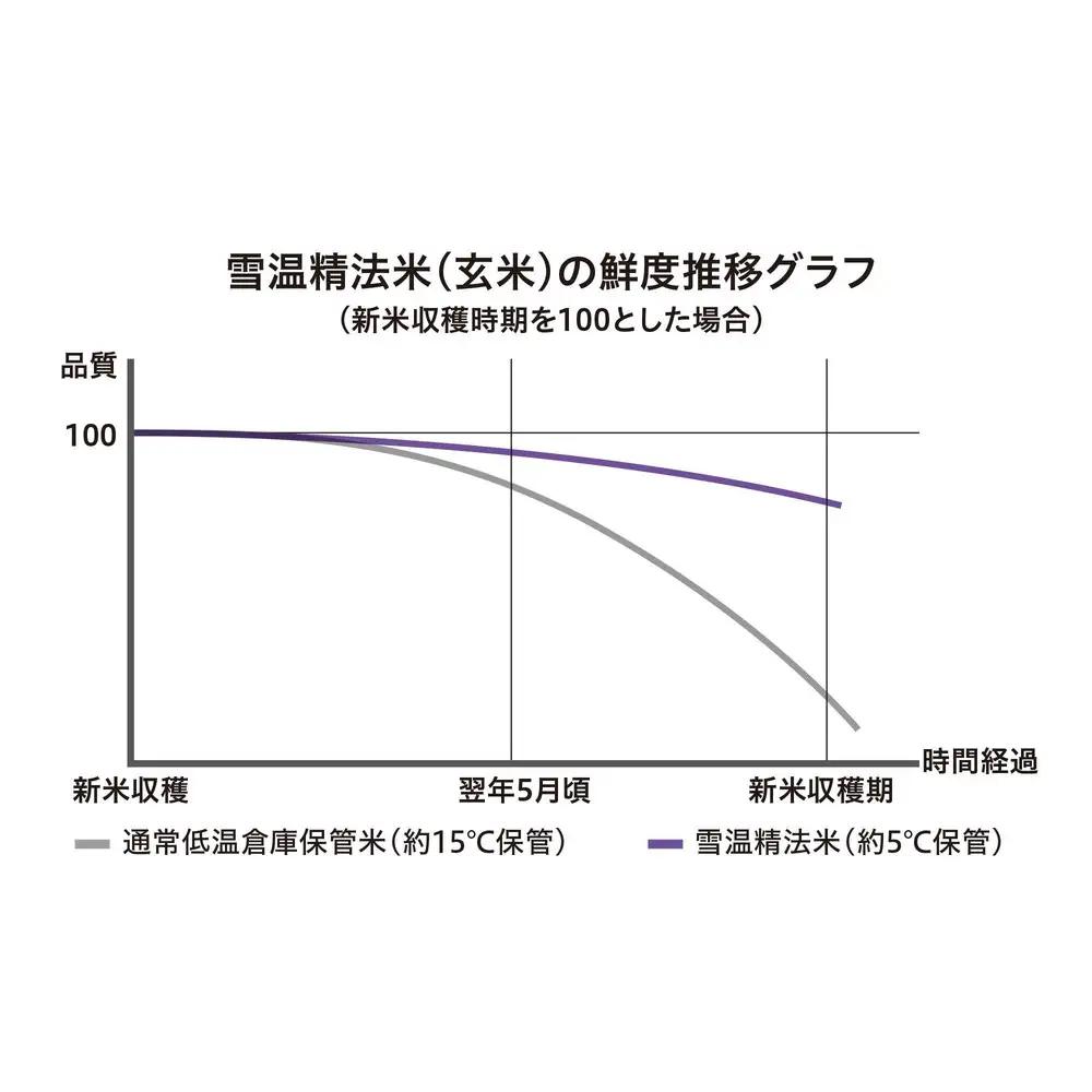 【令和7年産】雪温精法　新潟県産つきあかり2kg×2袋