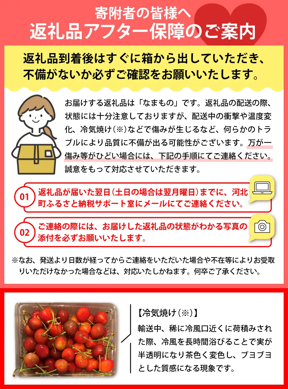さくらんぼ 佐藤錦 秀品 1kg 朝採り 当日出荷 さくらんぼ
