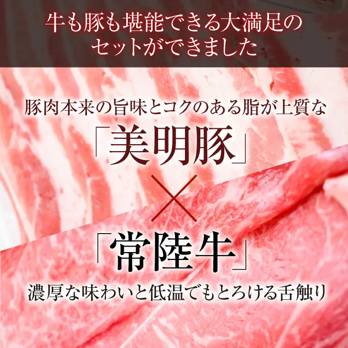 美明豚 × 常陸牛 スライス 約2kg セットB 【茨城県共通返礼品/行方市】 ブランド豚 しゃぶしゃぶ SPF 豚肉 モモ [DS005sa]