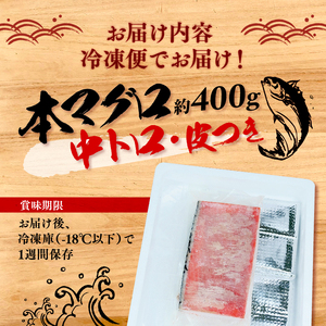 本マグロ 中トロ 400g マグロ