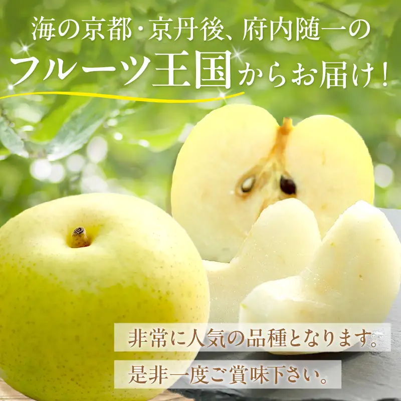 【先行予約】京丹後産 20世紀梨 5kg | 梨（2026年9月上旬～発送）