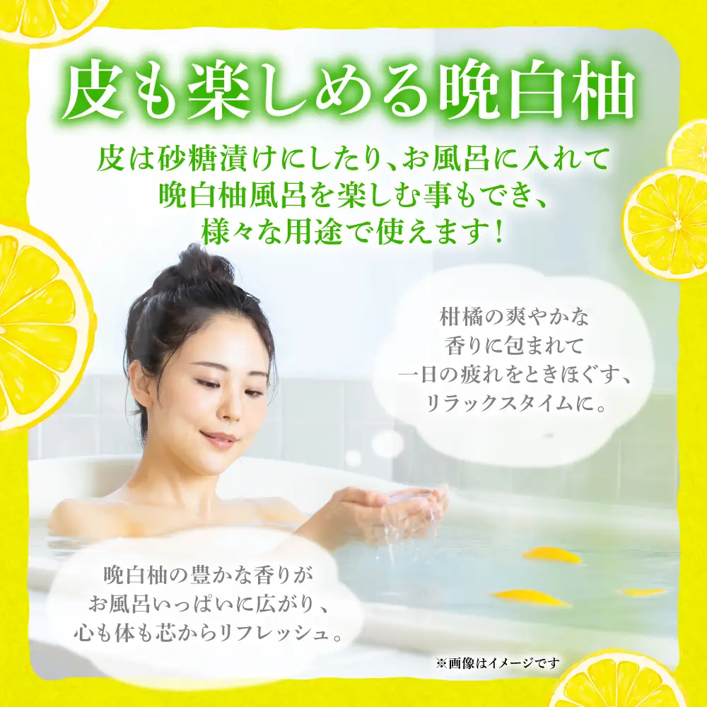 【先行予約】 晩白柚 Lサイズ 2玉 ばんぺいゆ 柑橘 【2026年12月中旬より順次発送】