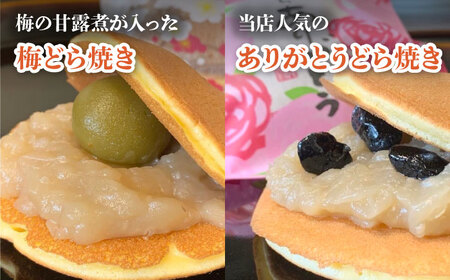 亀屋の 和菓子 彩りセレクション 13個入り 10種 【亀屋製菓舗】 どら焼き 羊羹 名物[TDX003]