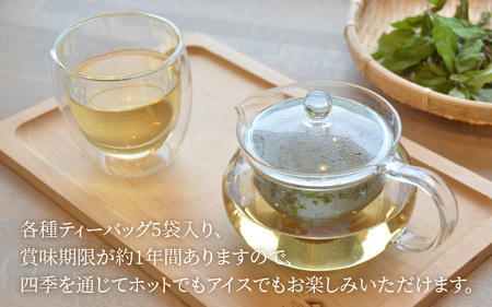 「自然・薬膳体験！」青葉山ハーバルビレッジ薬膳茶セット（4種類）
