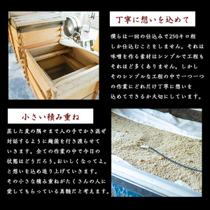 鹿児島県長島町産！未来を紡ぐ味噌 (3kg)【石元淳平醸造】cocoro-7014