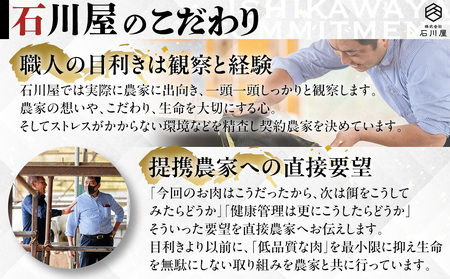 知多牛(響)入り ハンバーグ 1.5kg以上 (130g×12個) 知多牛 愛知県 南知多町 牛肉 ブランド牛 南知多 愛知県 お米に合う コメに合う 夕食 昼食 朝ごはん 夕食 お肉 肉