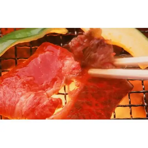 定期便 但馬牛 焼肉 5種 食べ比べ 計500g 3ヶ月連続お届け BBQ バーベキュー アウトドア