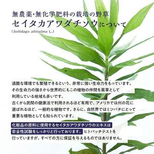 100％天然原料　入浴剤 バスソルト ゴールデンロッド1000g（1回15g使用で66回分）【バスソルト 入浴剤 バスソルト 天然原料 バスソルト お風呂 バスソルト 無添加 バスソルト 愛知県 長久手市 AB002】