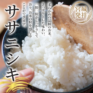 【令和7年産】お米農家直送！ササニシキ 10kg お米 おこめ 米 コメ 白米 ご飯 ごはん おにぎり 宮城米 ささにしき 令和7年産 お弁当 【お米農家ろくすみファーム】 ta291