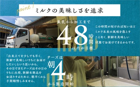 チーズを堪能！牧成舎オリジナルチーズ3種のセット[B0212]