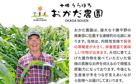 原種黒千石きな粉アイスクリーム10個入り 浦幌町 十勝うらほろおかだ農園