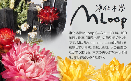浄化木炭 飾り炭幸フクセット 1個 MLoop(エムループ) 株式会社浦幌木炭 浦幌木炭 飾り炭 消臭効果 st-p