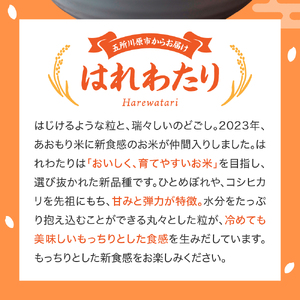 はれわたり 【令和7年産米】10kg特別栽培米 特A取得歴有 五所川原市KonRiceFarmのはれわたり