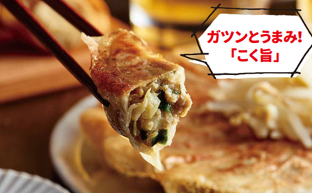 餃子好き社員有志が創り上げた究極の逸品！こく旨 浜松餃子en 100個（20個×5セット・たれ付き）【配送不可：離島】 惣菜 冷凍 冷凍餃子 夕飯 おかず 中華 シャキシャキ食感 おつまみ 