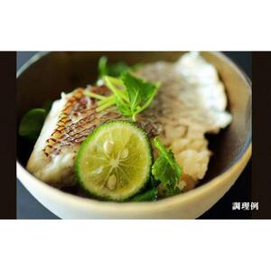 徳島県産鯛の鯛めしの素 570g (2合用) 4個セット