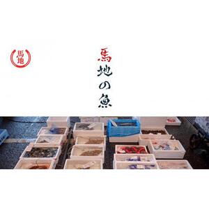 その日のセリの一番魚お届けBOX　2～3人前（下処理済み）