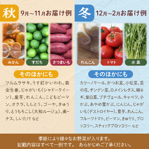 野菜セット 旬の野菜 （9~10種類) やさい 詰合せ 新鮮 季節の野菜