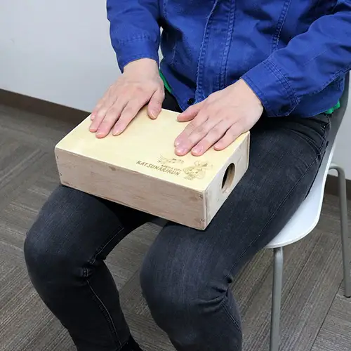 No.291 かつなりくんミニカホン（TCA-8）