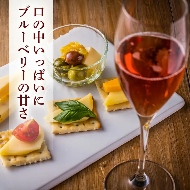 ◆ふるさと納税限定◆ブルーベリーワイン 2016 ＜アイケイファーム余市＞_Y020-0671